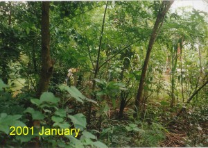 1-3 Porch 2001-01