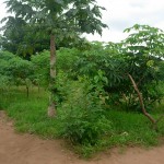 2007-23-02 AOG 001