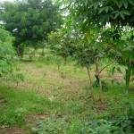 2007-23-02 AOG 004