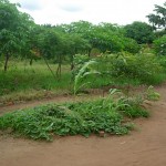 2007-23-02 AOG 017