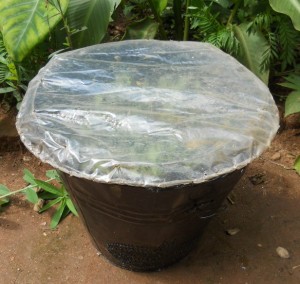 2012.01 Solar Dryers 008