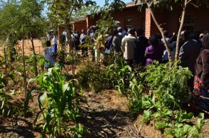 Participants getting a tour of Permaculture in practice at Chituwa school!