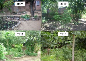 Staff House Transition
