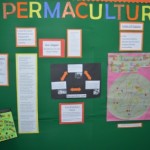 Bulletin Board Display