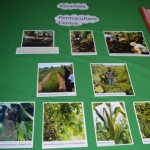 Field Trip to Kusamala