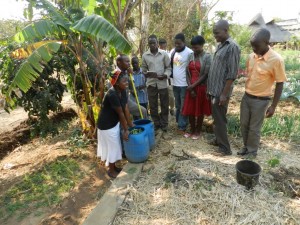 Learning about liquid manure