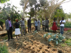 Looking at organic production systems