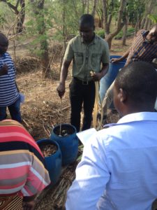 Liquid Manure
