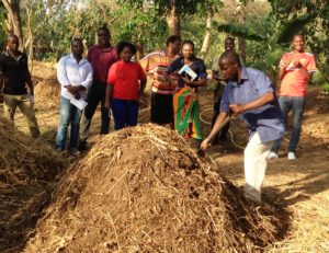 Compost Making