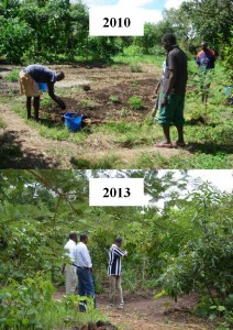 The Evolution of a Food Forest!