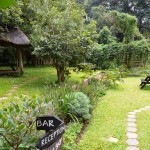 Functional Landscaping