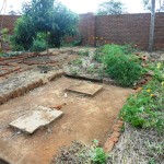 Back Yard--2011