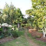 Diversified Orchards