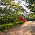Driveway--2015