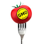 Monsanto-Tries-To-Patent-The-Natural-Tomatoes