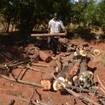 Building the pile